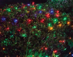 Net Lights